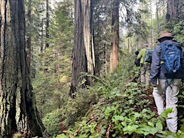 Guided Bird Walk on the Salmon Pass Trail primary image