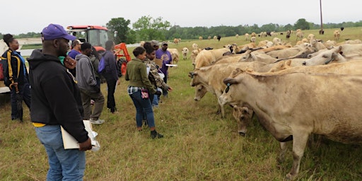 Primaire afbeelding van 2024 Rhonda Ranch Field Experience