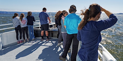 Immagine principale di Stewardship Saturday: Watching for Whales 