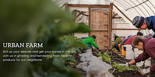 Imagen principal de Be an Urban Farmer for a Day!