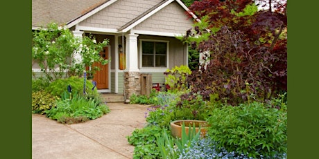 Hauptbild für Lawn Alternatives: How to Cultivate an Eco-Friendly Yard