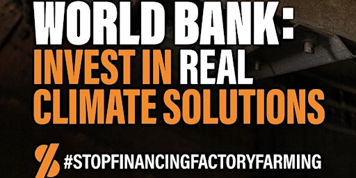Hauptbild für World Bank Action Day