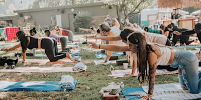 Primaire afbeelding van Silent Disco Yoga at McKinley Park
