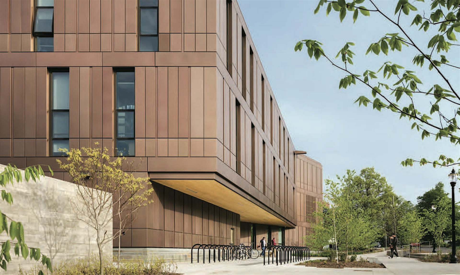 Mass Timber Sustainability: Making a case for Developers and Owners