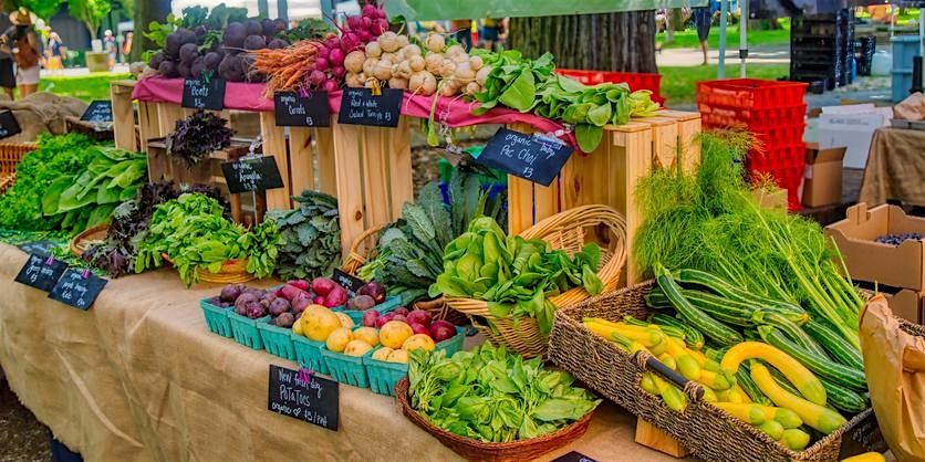 Farm to Table: Vegetable Cooking Techniques at the Farmers Market