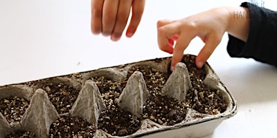 Primaire afbeelding van Kid's (age up to 10) Seeding in an Egg Carton
