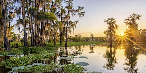 Imagem principal de Blissful Blooms Swamp  Retreat: Connect to Your True Nature & Intuition