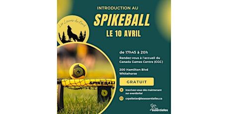 Introduction au spikeball