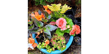 SPECIAL! Wit Cellars, Woodinville - Art of Container Gardening