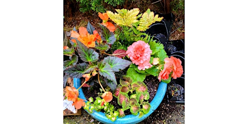 SPECIAL! Wit Cellars, Woodinville - Art of Container Gardening