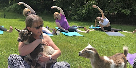 Goat Yoga on the Farm