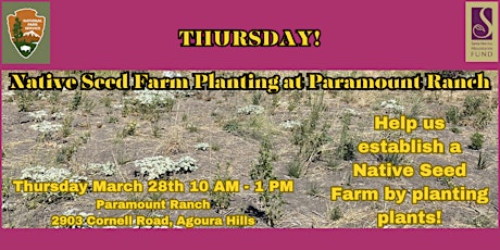 Native Seed Farm Planting at Paramount Ranch