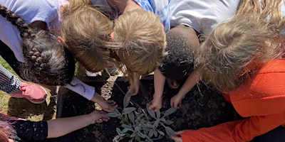 Imagen principal de End of Year School Gardens Celebration & Exploratory Learning Workshop