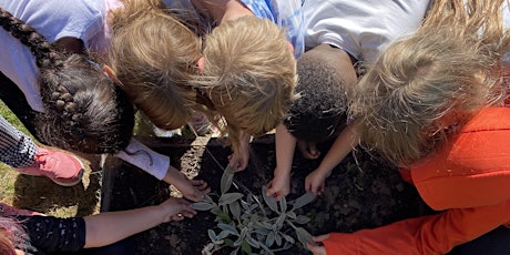 End of Year School Gardens Celebration & Exploratory Learning Workshop