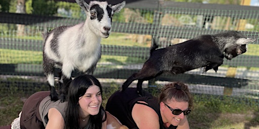 Imagem principal do evento Fun Goat Yoga with Baby Goats, Farm Tour, Music