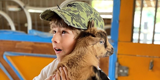 Imagem principal de Baby Goats Snuggle, Piglets Social, Farm Animals Feeding, Ranch Tours