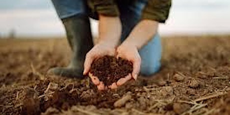 Discover Your Soil & Unlock the Power of Dirt