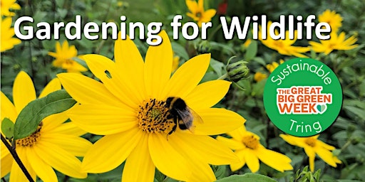 Primaire afbeelding van Gardening for Wildlife with Nick Bowles