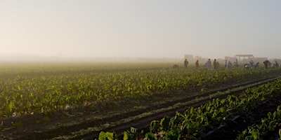 Hauptbild für Organic Rising