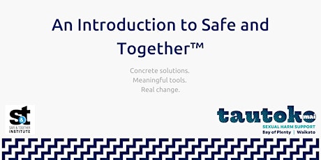 1 hour introduction to Safe and Together™ primary image
