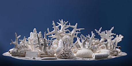 Coral Sculpting Workshop with Beatriz Chachamovits primary image