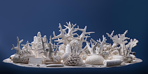 Imagem principal de Coral Sculpting Workshop with Beatriz Chachamovits