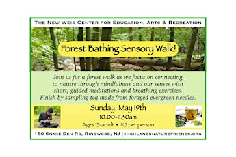 Imagem principal do evento Forest Bathing Sensory Walk