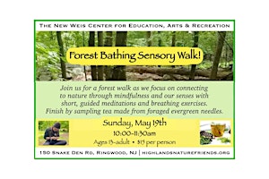 Imagem principal de Forest Bathing Sensory Walk