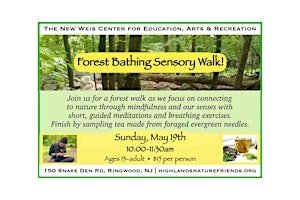 Forest+Bathing+Sensory+Walk