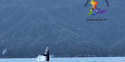 Imagen principal de Tail Time! Private Boating & Adventure in Banderas Bay, MX