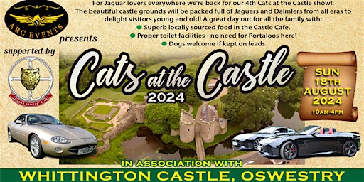 Imagem principal do evento Cats At The Castle 2024