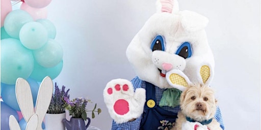 Photos with the Easter Bunny primary image