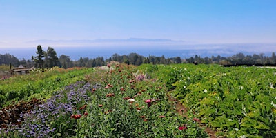 Hauptbild für Monterey Bay Chapter - UCSC Farm Paint/Sculpt-Out