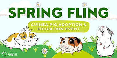 Spring Fling - Guinea Pig Adoption & Education Event primary image