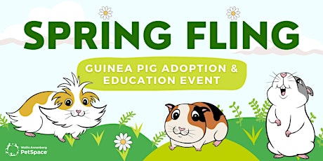 Spring Fling - Guinea Pig Adoption & Education Event