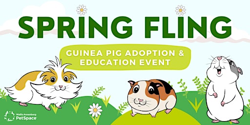 Primaire afbeelding van Spring Fling - Guinea Pig Adoption & Education Event