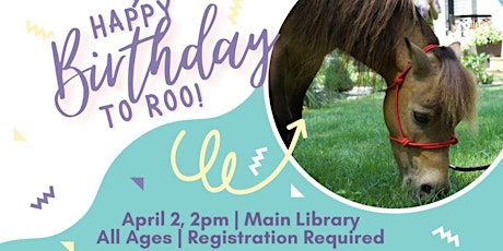 A Birthday Party for Roo the Mini Horse!