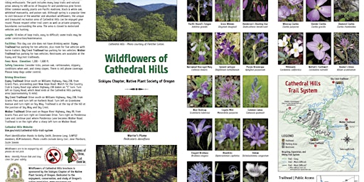 Hauptbild für Identifying Wildflowers of the Cathedral Hills