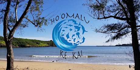 Hanamāʻulu Beach Cleanup