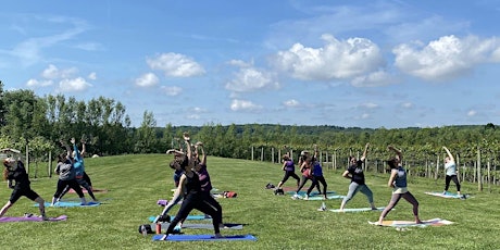 Vino & Vinyasa at RockSide Winery