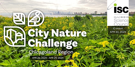 Primaire afbeelding van ID the Birds & Bees with ISC - City Nature Challenge