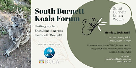 South Burnett Koala Forum