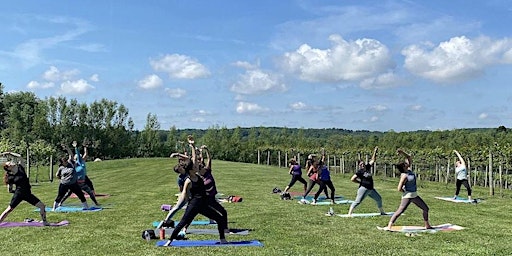 Immagine principale di Vino & Vinyasa at RockSide Winery 