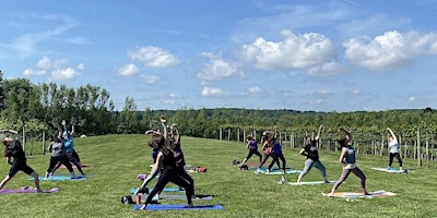 Image principale de Vino & Vinyasa at RockSide Winery