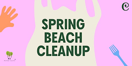 Lake Erie Spring Beach Cleanup