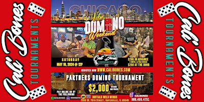 "IT'S A VIBE" CHICAGO PARTNERS DOMINO TOURNAMENT MAY 18, 2024 primary image