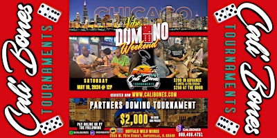 Immagine principale di "IT'S A VIBE" CHICAGO PARTNERS DOMINO TOURNAMENT MAY 18, 2024 