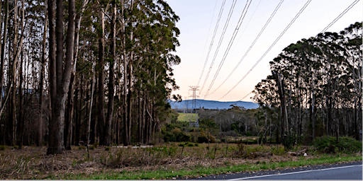 Hauptbild für Mulbring Community Forum: Transmission lines and renewable energy zones