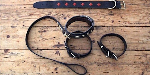 Imagen principal de Introduction to Traditional Leatherwork: Dog Collar or Belt Class