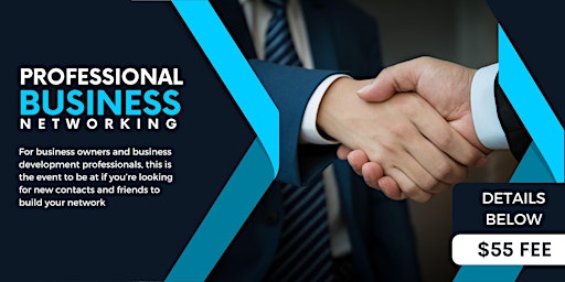 Imagem principal de Professional Business Networking